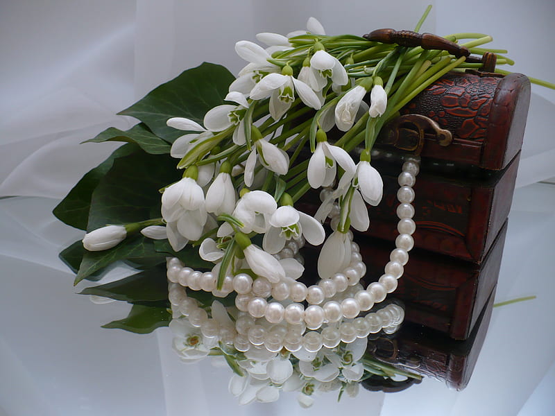 still life, box, bonito, graphy, nice, gentle, tenderness, flowers, beauty, snowdrops, pearls, reflection, harmony, white flowers, necklace, spring, gift, elegantly, cool, bouquet, flower, jewelry box, HD wallpaper