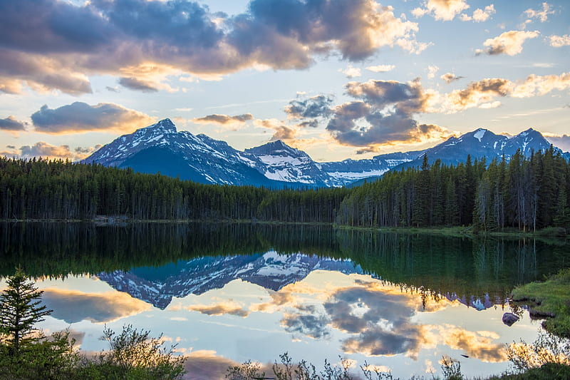 Banff National Park, mountain, forest, cool, nature, fun, lake, HD ...