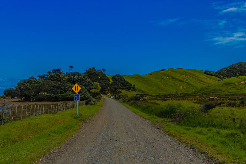 Country road, lush, farms, country, coromandel, new zealand, green, fields, road, gravel, HD wallpaper