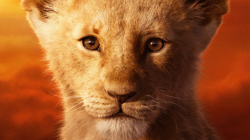 The Lion King 19 Poster Dusney Fantasy Movie Leu Face The Lion King Hd Wallpaper Peakpx