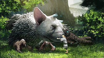 20+ The Last Guardian HD Wallpapers and Backgrounds