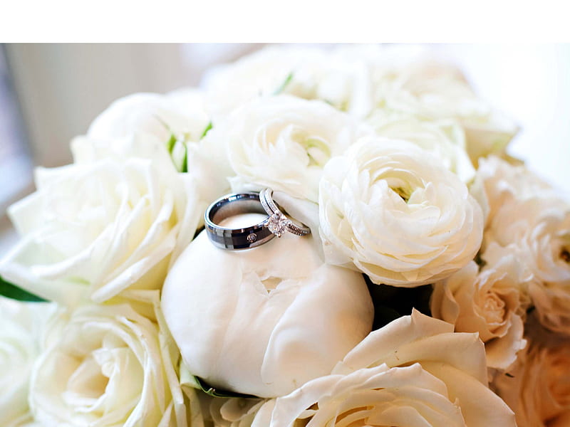 This is for a Wedding when some one gets Married and For the Groom and Bride, flowers, white, wedding, rose, HD wallpaper