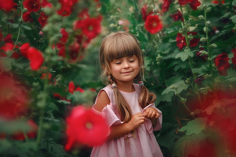 graphy, Child, Dress, Flower, Mallow, Pigtail, Smile, HD wallpaper