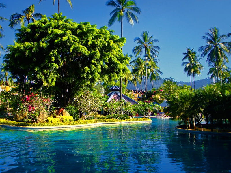 Phuket, pretty, resort, shore, bonito, beach, nice, destination, tropics, blue, rest, vacation, exotic, lovely, Thailand, ocean, relax, sky, pool, palms, tree, water, summer, crystal, island, nature, HD wallpaper