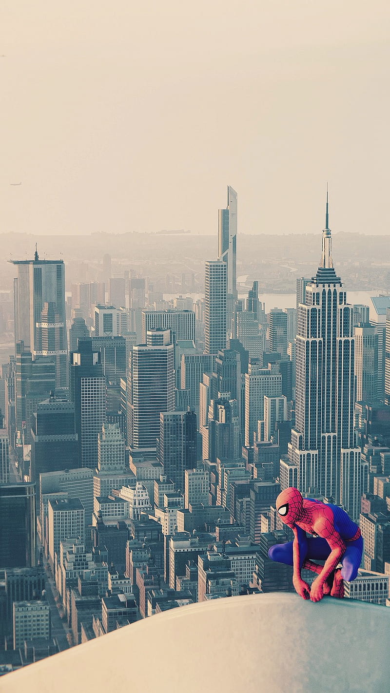 Spider-Man, bridges, chicago, city, colorful, new, new york, night, spiderman, town, HD phone wallpaper