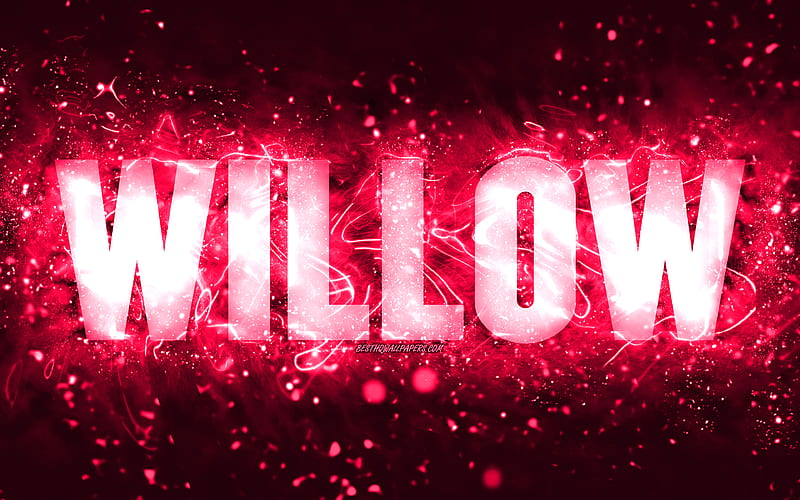 Happy Birtay Willow pink neon lights, Willow name, creative, Willow Happy Birtay, Willow Birtay, popular american female names, with Willow name, Willow, HD wallpaper