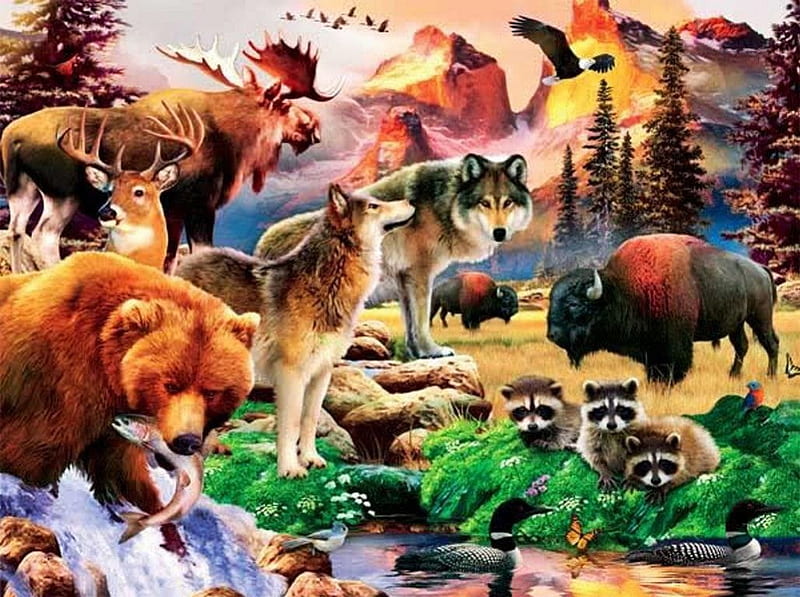 Animals together, bison, elk, bear, eagle, wolves, deer, HD wallpaper