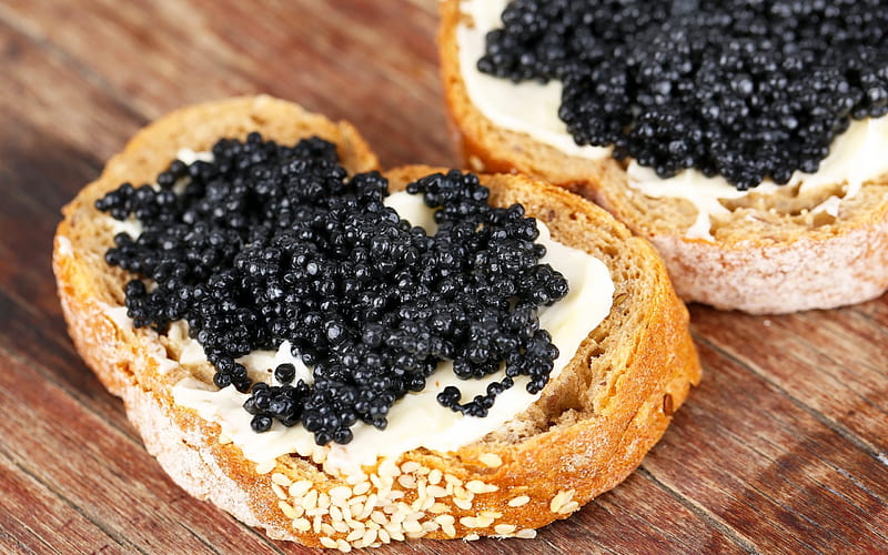 sturgeon caviar, black caviar, sandwich, food, HD wallpaper