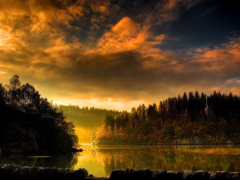 Morning glow, glow, sunlight, bonito, sunset, trees, sky, clouds, pond ...
