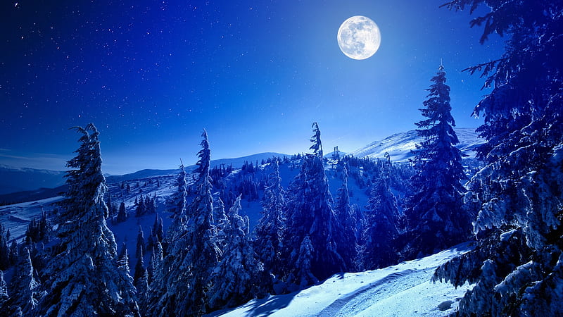 Full Moon Over Winter Forest, HD wallpaper