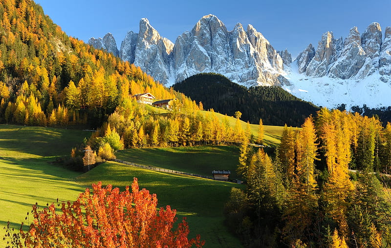 Val Gardena, Dolomites, Italy at Fall, autumn, colors, season, trees, landscape, HD wallpaper