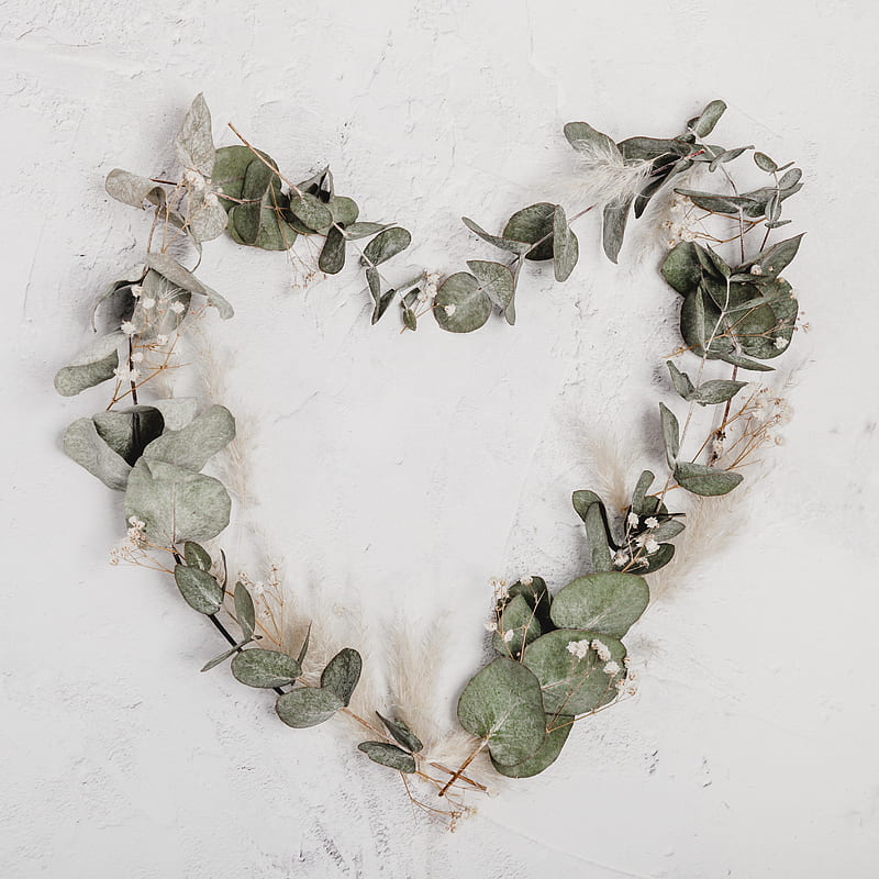 Green leaf heart wreath, HD phone wallpaper | Peakpx