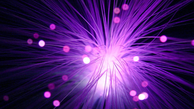 Purple Optic, fiber optic, bokeh, purple, graphics, strings, HD wallpaper