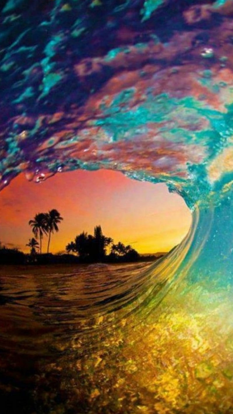 Riding the Rainbow, beach, beauty, colors, island, ocean, palm tree, ride,  sea, HD phone wallpaper | Peakpx