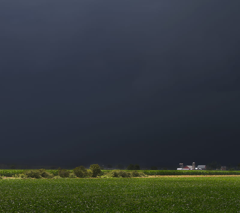 Stormy Land, field, storm, HD wallpaper