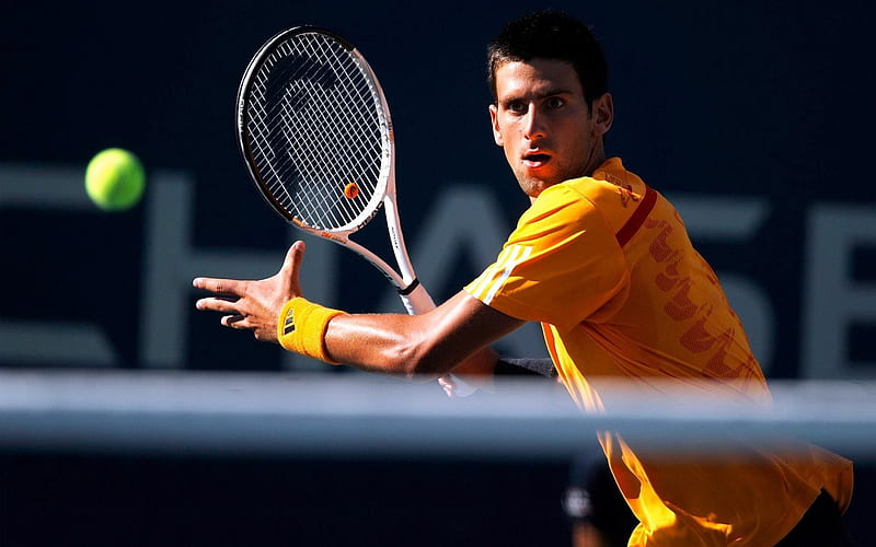 Novak Djokovic ATP, tennis players, match, HD wallpaper