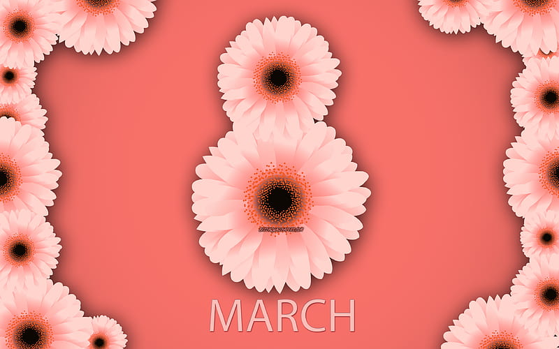 March 8, purple background, Happy Womens Day, spring, pink chrysanthemums, pink spring flowers, March 8 greeting card, HD wallpaper
