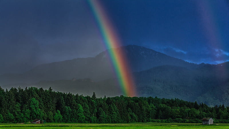 rainbow in a dark bavarian forest, mountain, forest, rainbow, dark, HD wallpaper