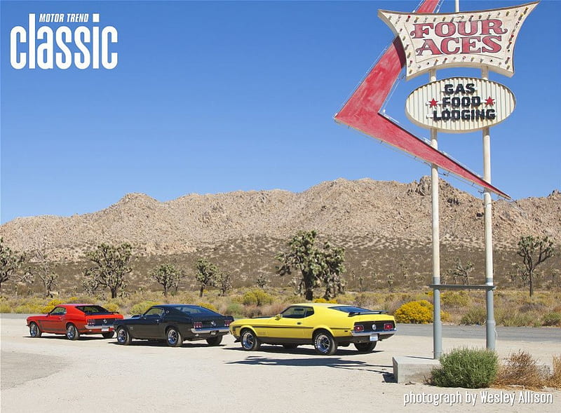 Boss Squad, Mustang, Ford, 302, 429, 351, HD wallpaper