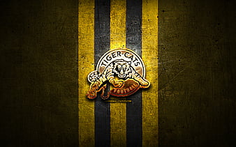 hamilton tiger cats wallpaper