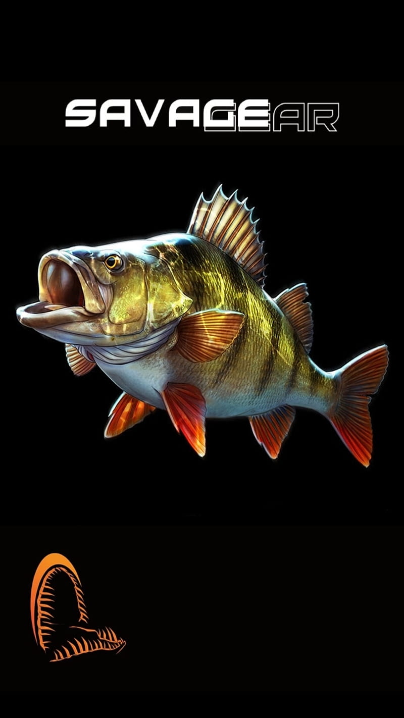 Savagear, fish, fishing, fishing tackle, lure fishing, perch, HD phone wallpaper