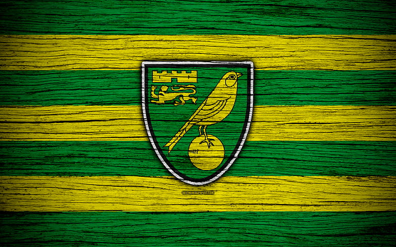 Norwich City FC EFL Championship, soccer, football club, England, Norwich City, logo, wooden texture, FC Norwich City, HD wallpaper