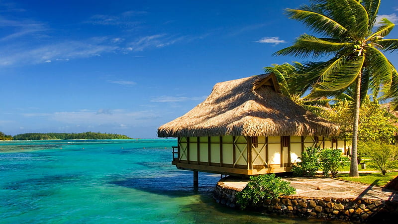 Tropical paradise, hut, shore, cabin, bonito, sea, beach, blue, rest, vacation, exotic, lovely, ocean, wind, relax, sky, palms, water, paradise, summer, crystal, tropical, sands, coast, HD wallpaper