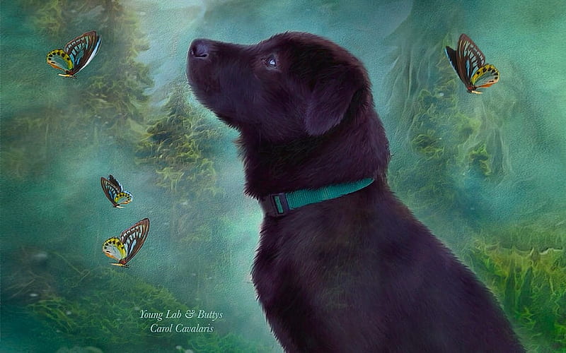 Young Lab and Butterflies, Dog, labrador, black, painting, butterflies, HD wallpaper