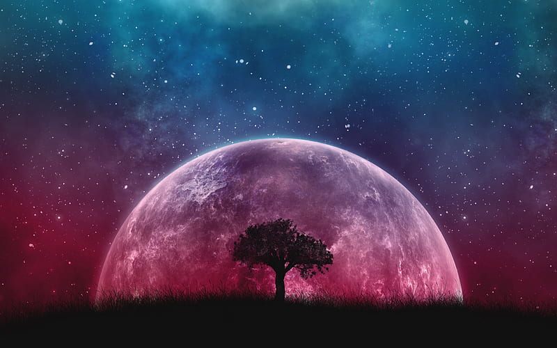 Sci Fi, Planet Rise, Night, Pink, Planet, Sky, Stars, Tree, HD wallpaper
