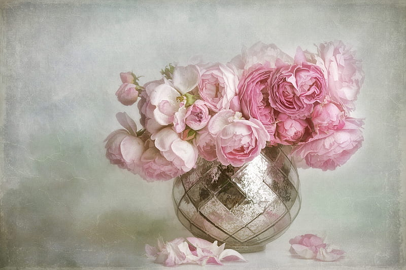 Roses, still life, ranunculus, rose, flower, vase, pink, silver, HD wallpaper