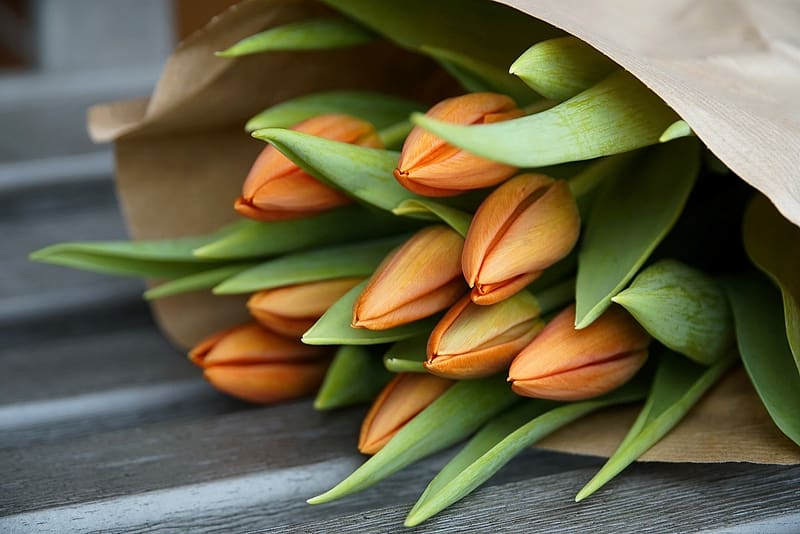 Bouquet of tulips, tulipan, csokor, viragok, tavaszi, papir taska, HD wallpaper