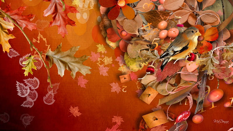 Autumns Time, buttons, colorful, fall, autumn, orange, collage, corazones, nuts, seeds, leaves, bird, bright, flowers, season, HD wallpaper