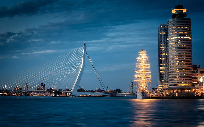 Erasmus Bridge, Rotterdam, Netherlands, city lights, cable-stayed bridge, HD wallpaper