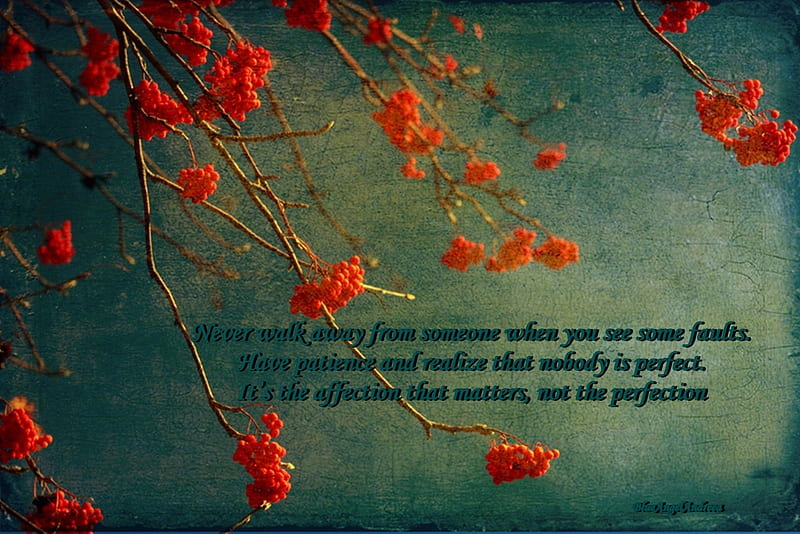 Never Walk Away From Someone... , never, faults, words, flowers, neko, HD wallpaper