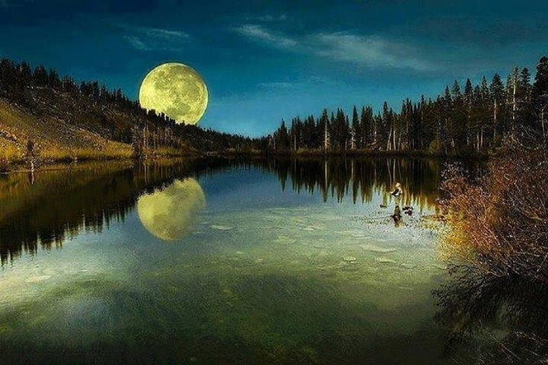 full moon in a fall season, lakes, fall season, full moon, nature, reflection, HD wallpaper