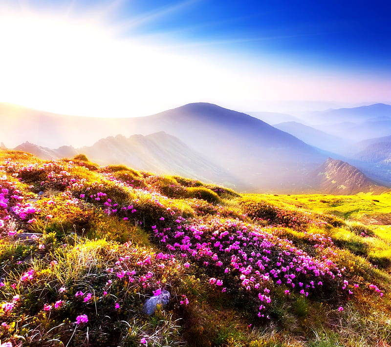 Paradise, 2014, bonito, color, flowers heaven, mountains, new, sky, HD wallpaper