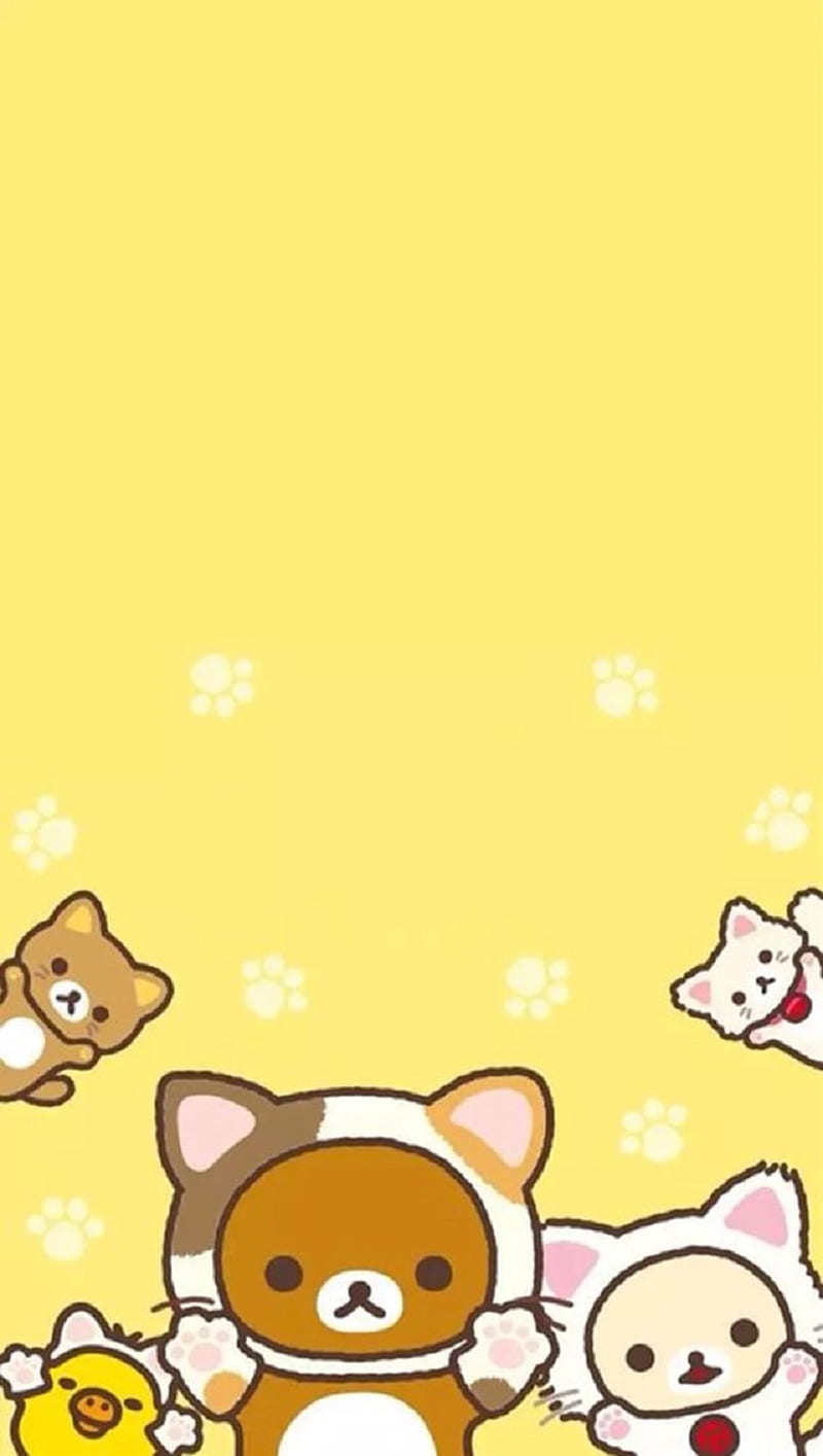 Download Welcome a Cute New Friend With Rilakkuma Wallpaper  Wallpapers com
