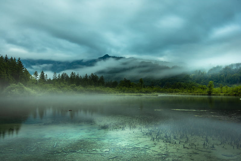 Lake, mountains, spruce, trees, fog, HD wallpaper | Peakpx