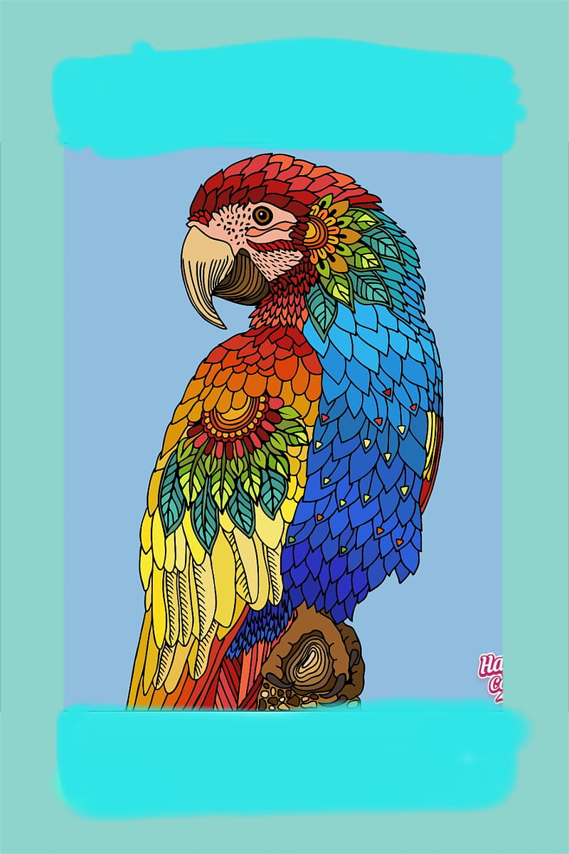 Bird of Paradise, randow, parrot, happy color, HD phone wallpaper