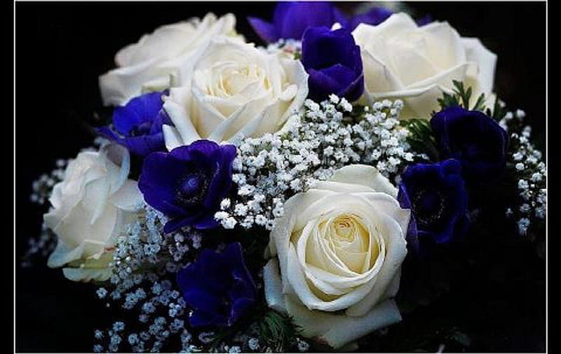 Ramo de rosas azules y blancas, ramo, flores, naturaleza, rosas, blanco,  azul, Fondo de pantalla HD | Peakpx