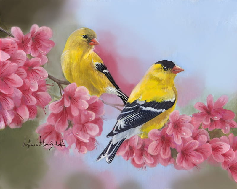 Songbirds, blossom, bird, victoria wilson schultz, flower, yellow, spring, pink, art, painting, pictura, HD wallpaper