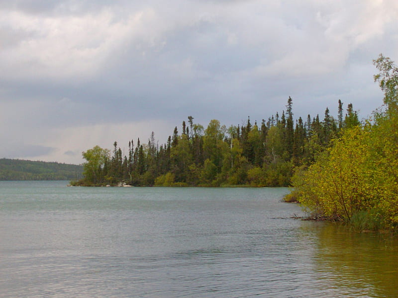 Beaverlodge Lake Canada, beaver, lodge, lake, canada, HD wallpaper