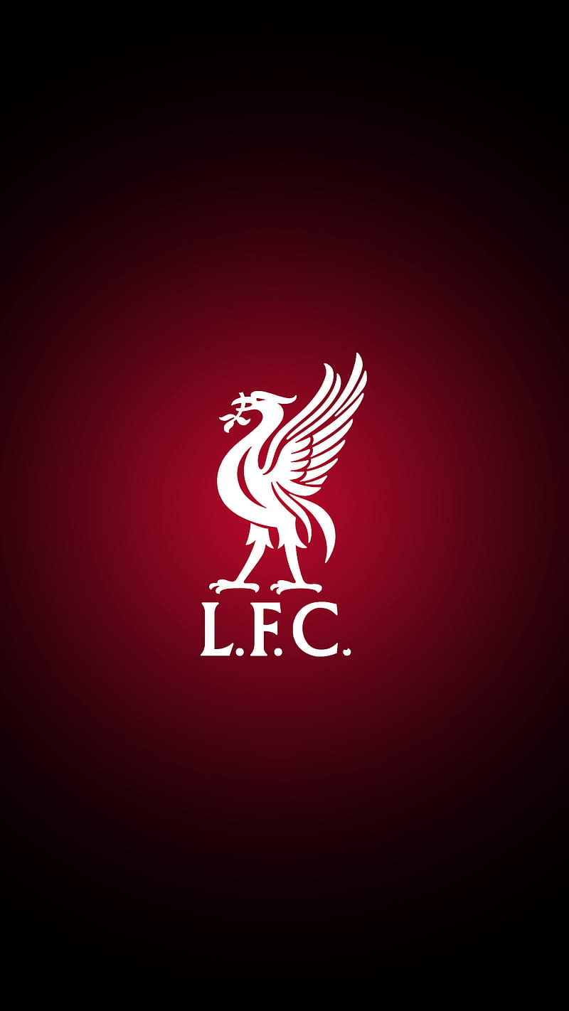 Liverpool FC, englang, football, football club, futbal, futball, iphone, premier league, soccer, esports, HD phone wallpaper