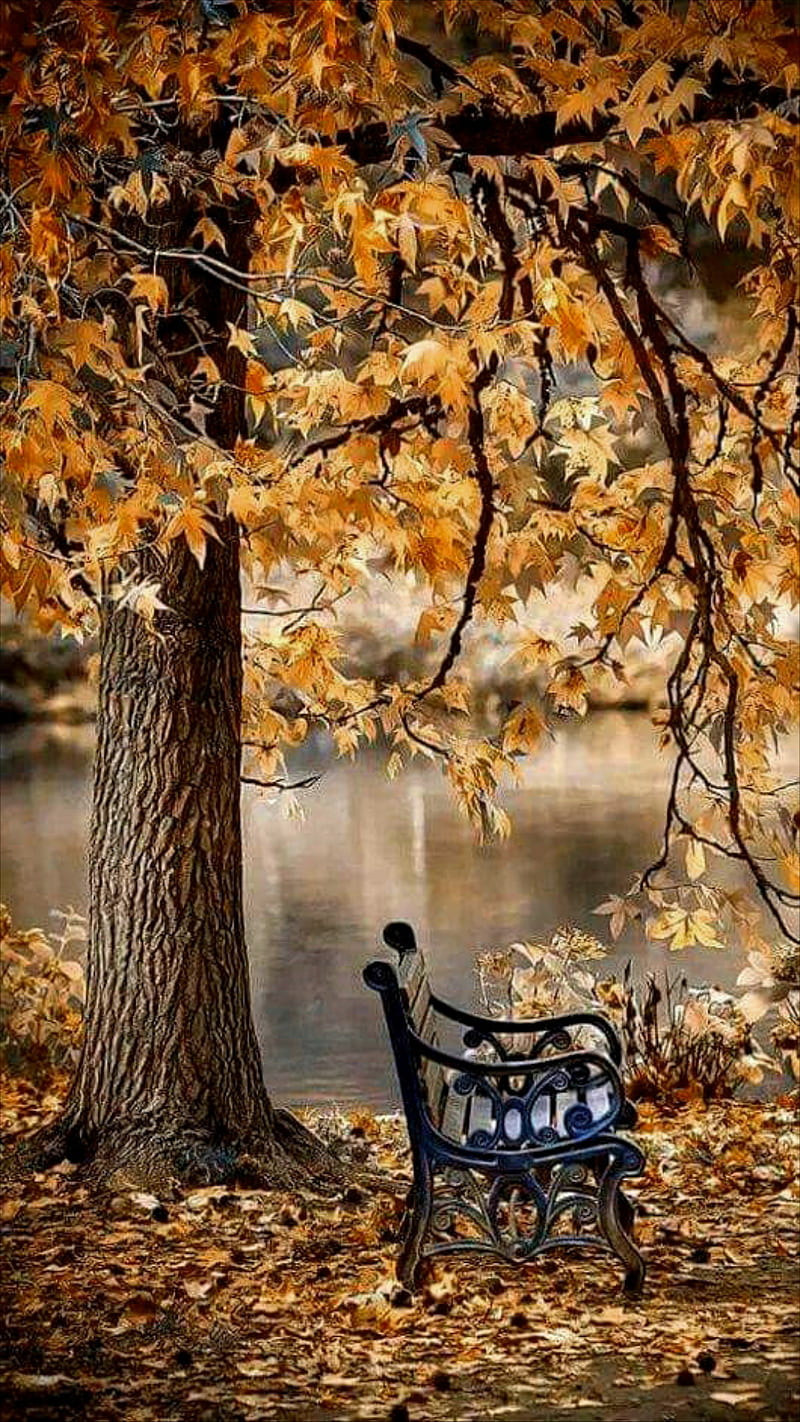 Nature, autumn, bench, fall, fall nature, leaves, season, tree, HD phone  wallpaper | Peakpx