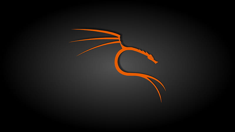 Black and Orange Kali Linux, Linux, Operating System, Technology, Kali, HD wallpaper
