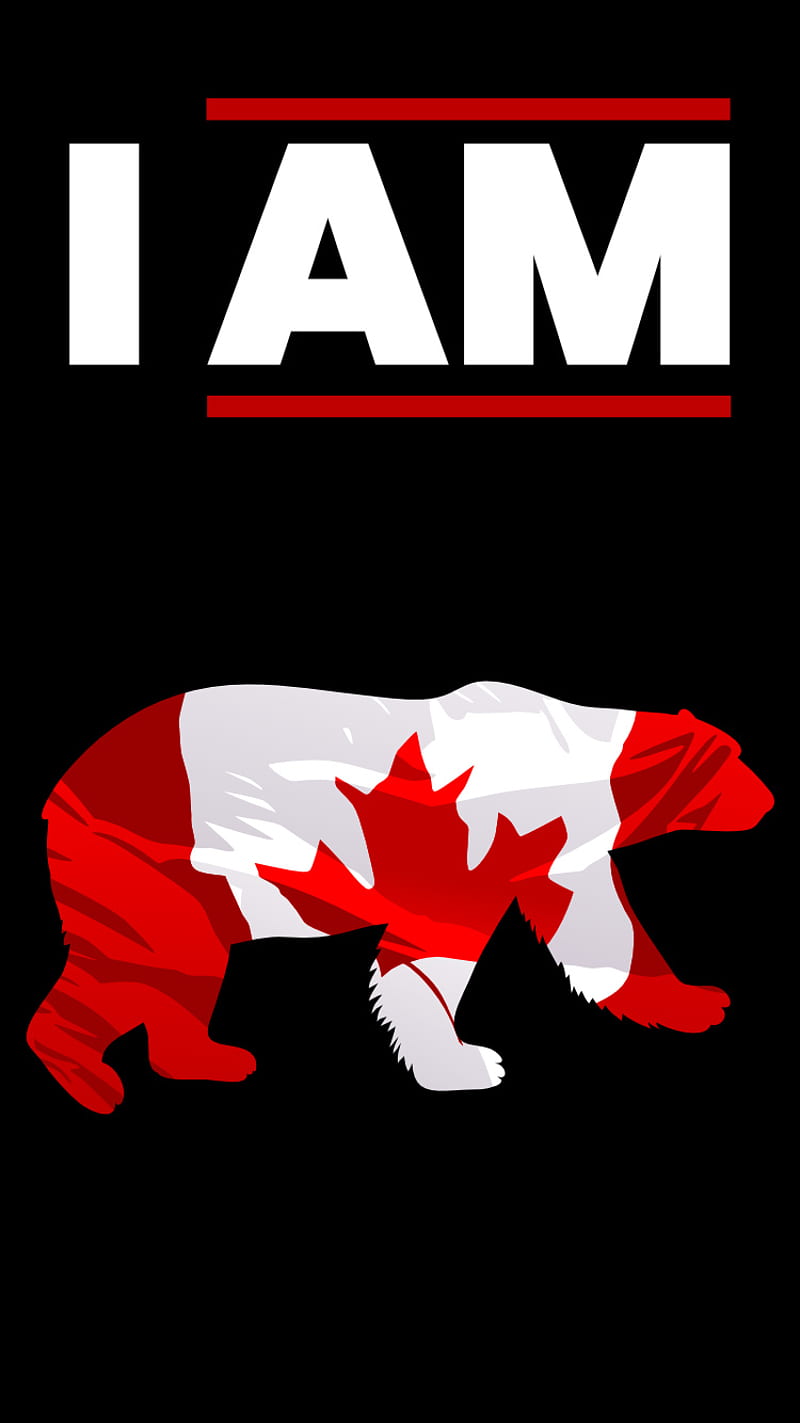 Canada Polar Bear, animal, beer, canadian, desenho, i am canadian, wildlife, HD phone wallpaper