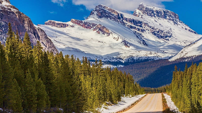 Highway Through Canadian Rockies Highway Snow Mountains Forests