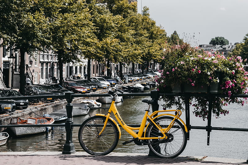 yellow commuter bike parked beside metal handrail, HD wallpaper