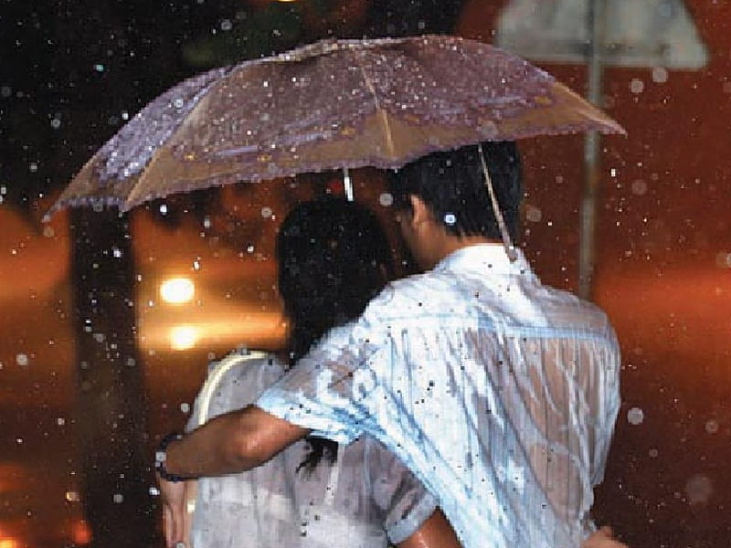 Under My Umbrella, Umbrella, rain, shelter, couple, HD wallpaper