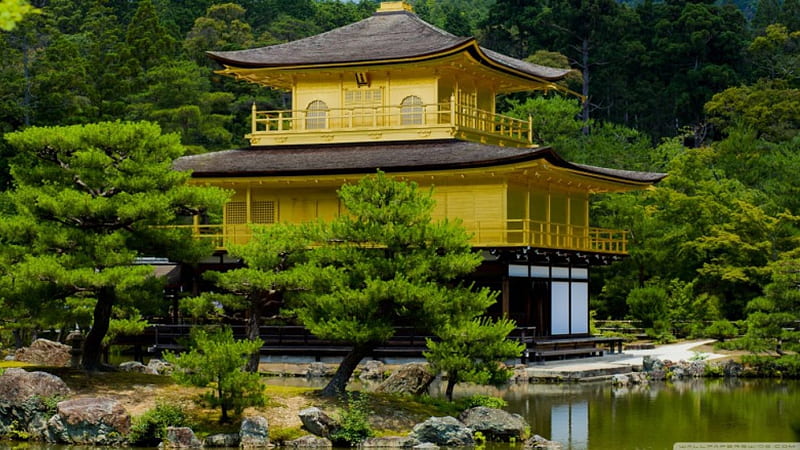 Kinkaku-ji, Kyoto, japan, japon, kinkaku, kyoto, golden, pavilion, 1366x768, ji, HD wallpaper